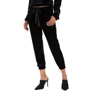 NWT n:PHILANTHROPY Mile Velvet Jogger Pants